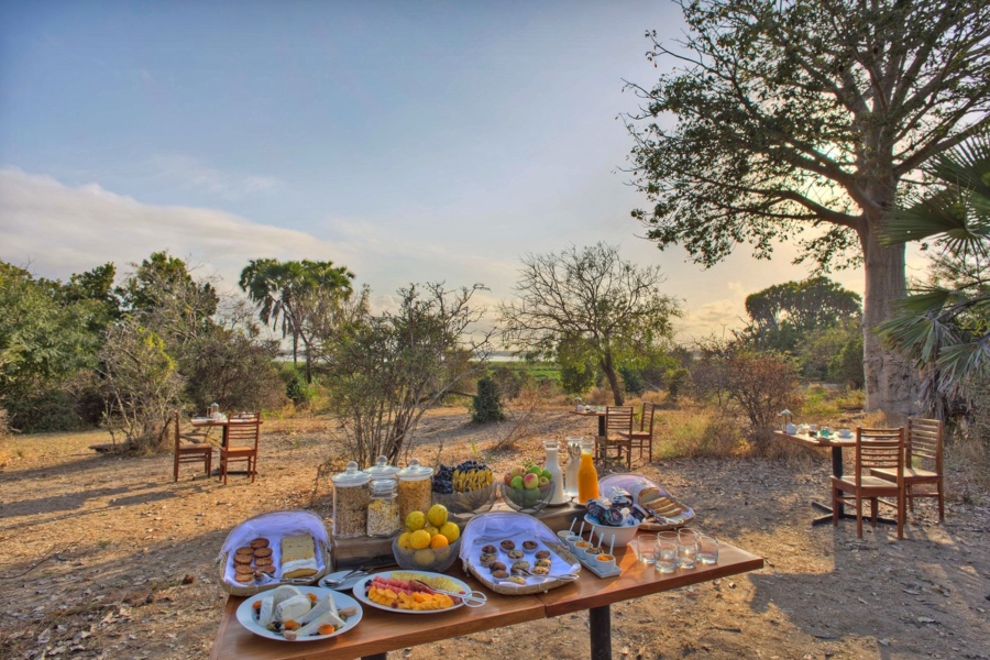 Full-Day Game Drive | Nyerere Wilderness Exploration