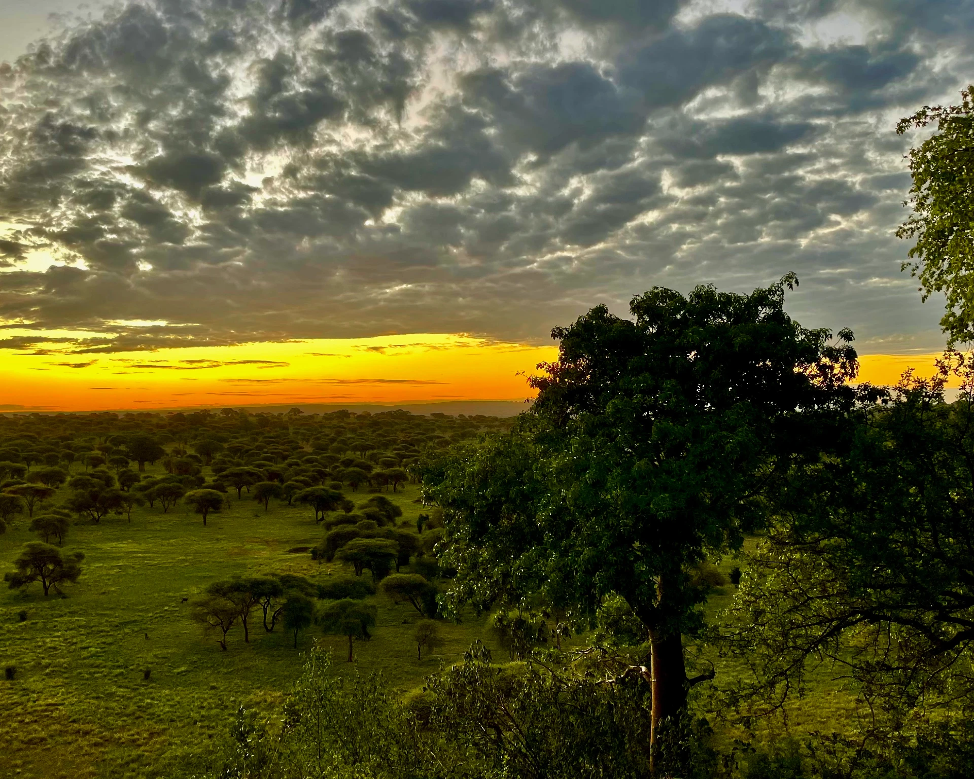 Walking Safari – Return to Dar es Salaam