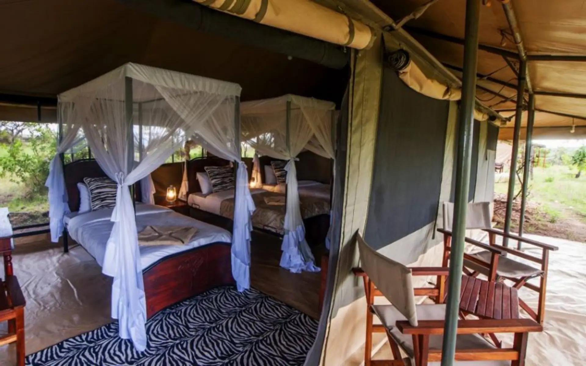 Acacia Migration Camp