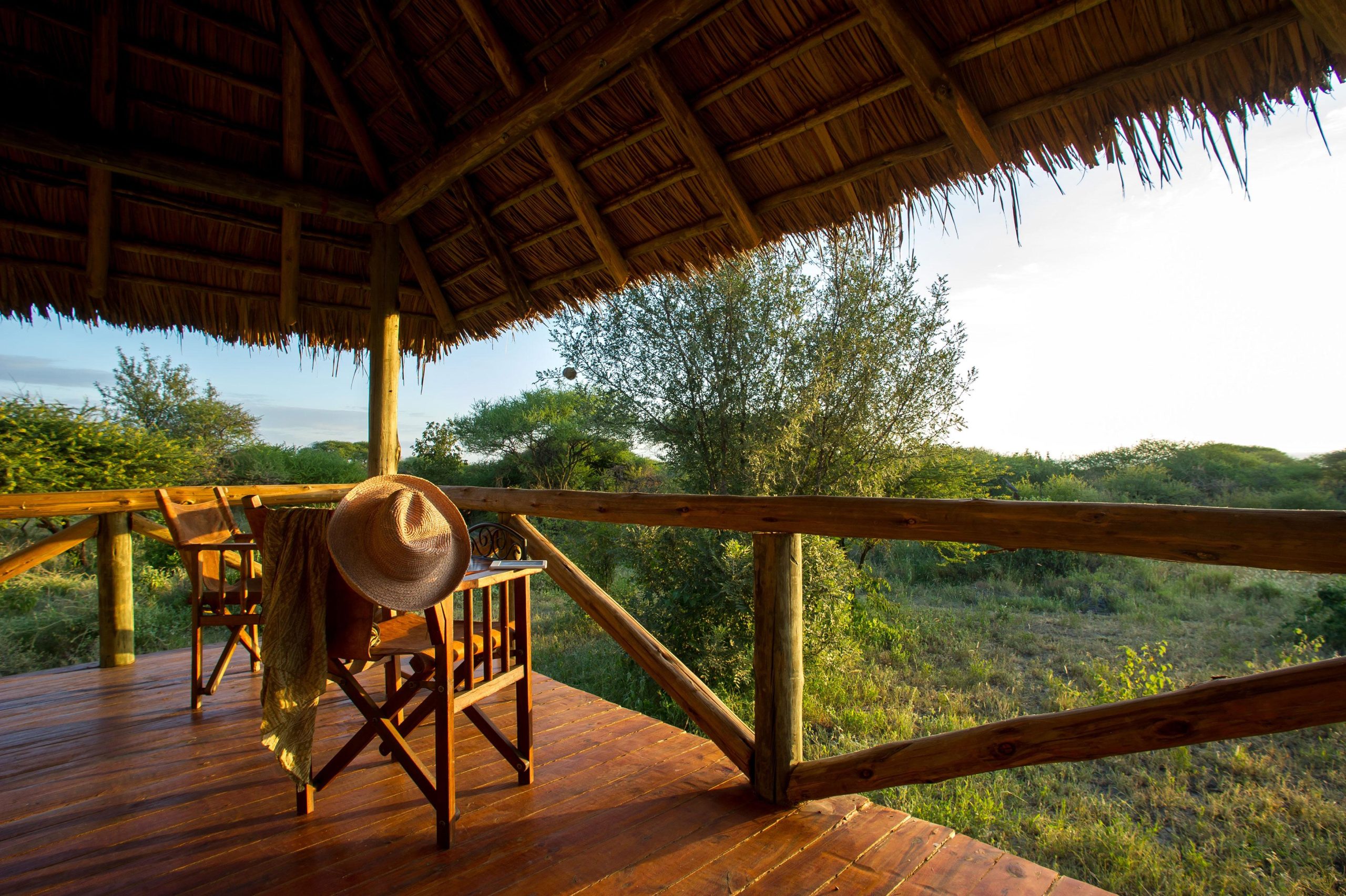 Arrival in Tanzania | Welcome to Arusha