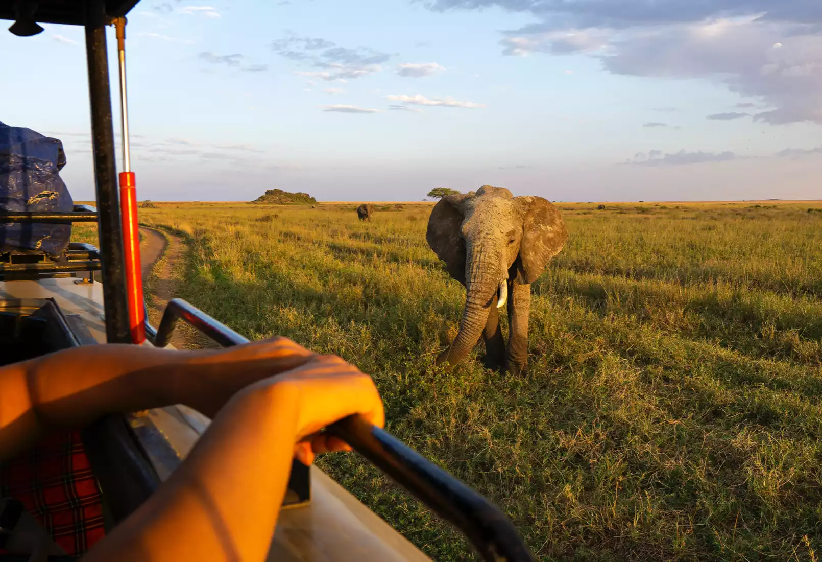 Arusha → Tarangire National Park | Elephant Kingdom Safari