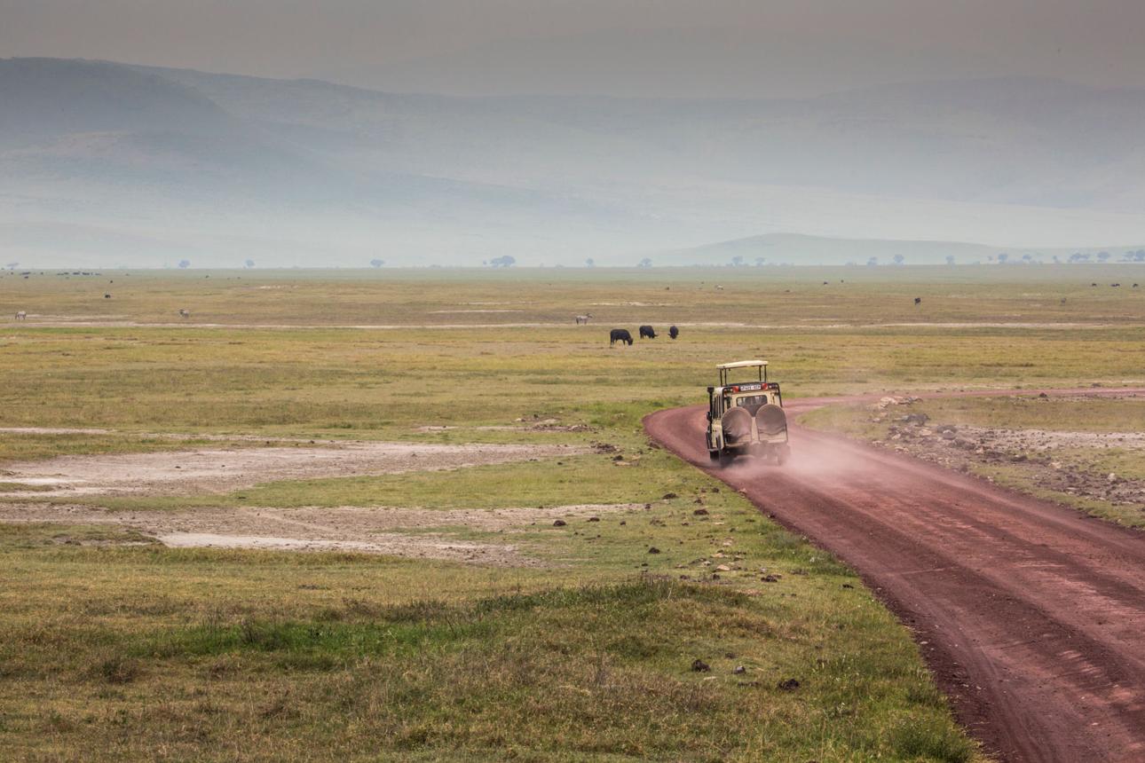 Serengeti → Ngorongoro | 2-Night Crater Experience