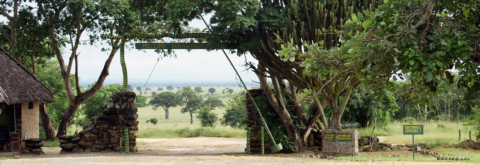 Dar es Salaam → Mikumi National Park | Maasai Cultural Experience