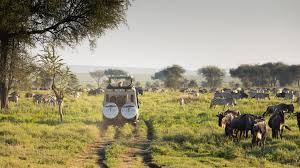 Lake Natron → Serengeti (via Klein’s Gate) | Enter the Wild Plains