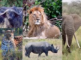 Karatu → Ngorongoro Crater → Arusha | Final Safari Experience