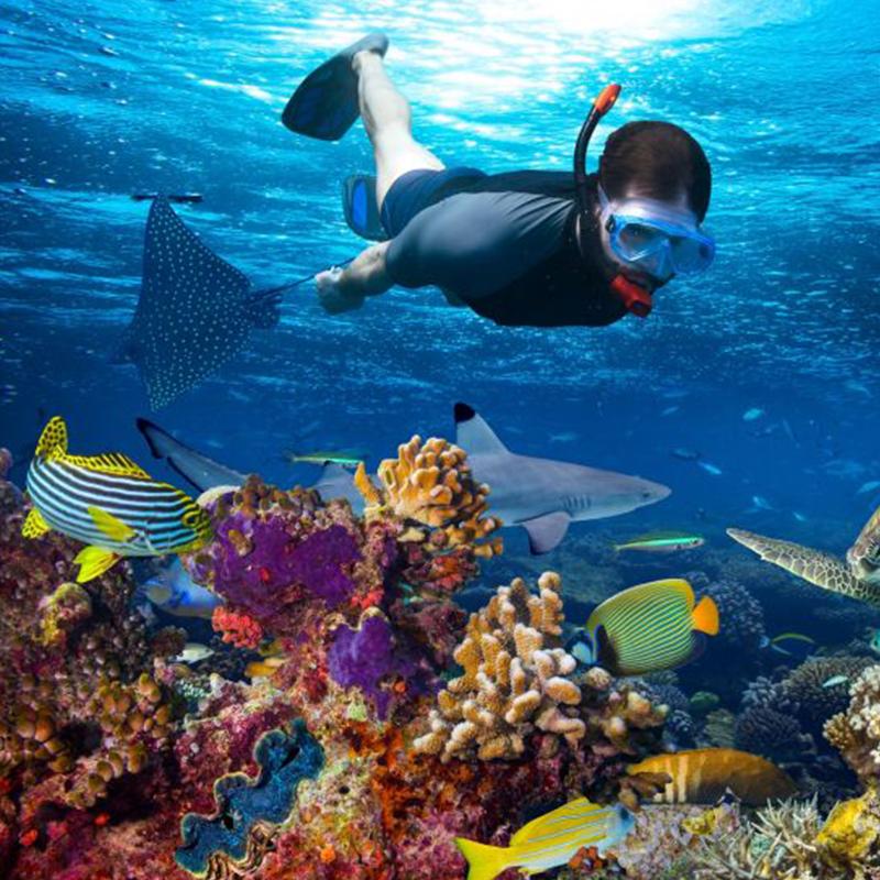 Full Beach Day – Leisure & Ocean Experiences