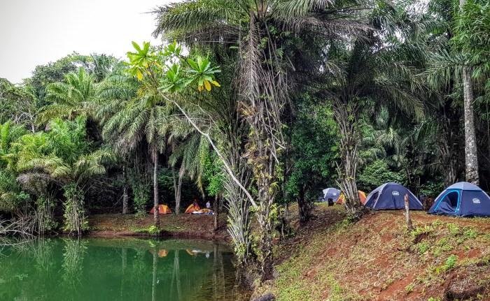 Lushoto to Magoroto Forest – Hidden Tropical Paradise