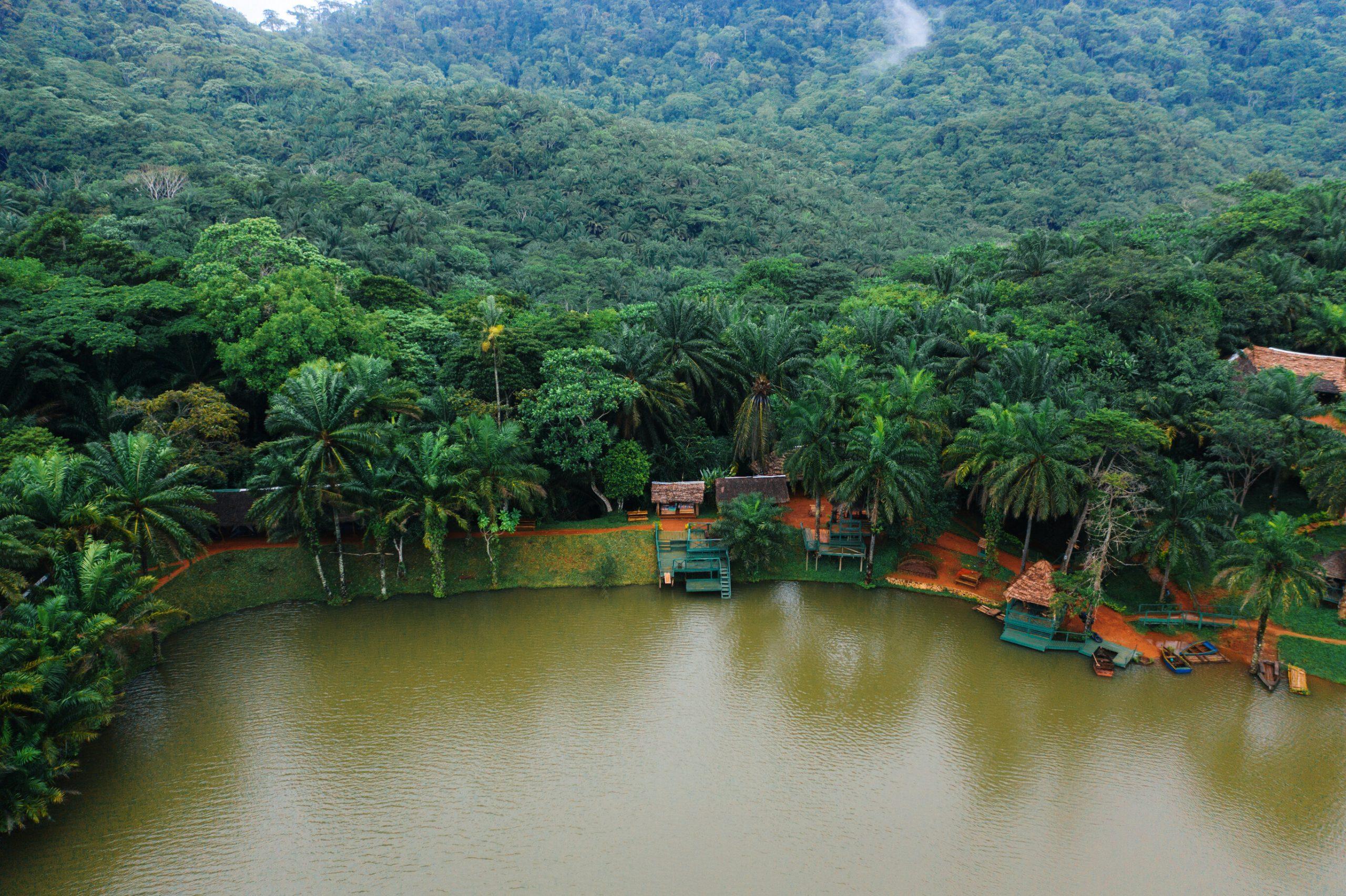 Magoroto Forest Estate