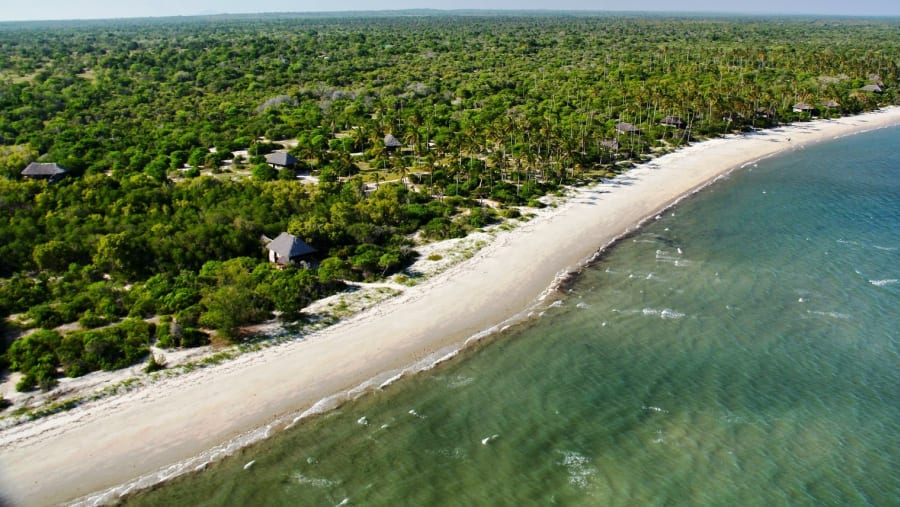 Dar es Salaam – Saadani National Park | Game Drive Experience