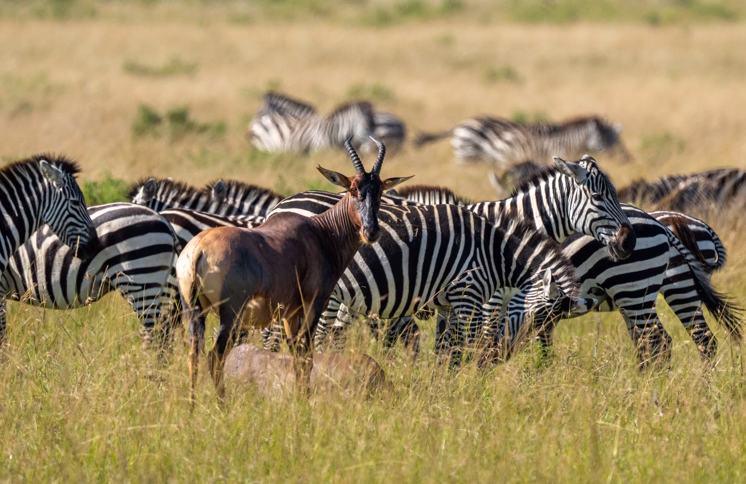 The Social Aspect: Finding Camaraderie in the Bush
